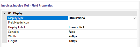 rs-crud-lvpfields-html5video.webp
